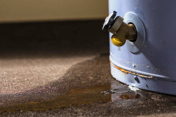 Best Flooded house restoration  in Arcadia, WI