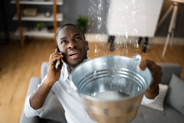 Best Sewage cleanup and water damage restoration  in Arcadia, WI