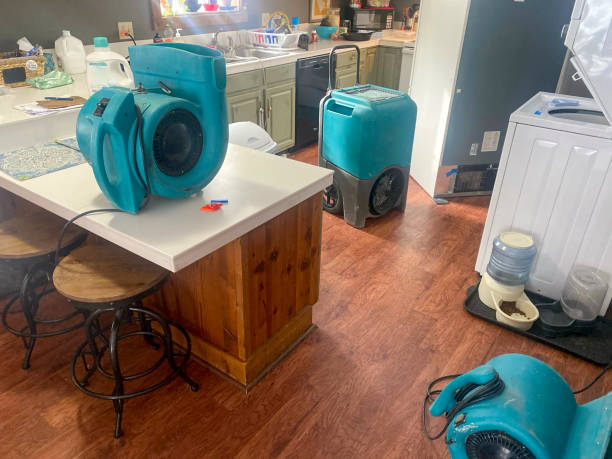 Best Sewage cleanup and water damage restoration  in Arcadia, WI