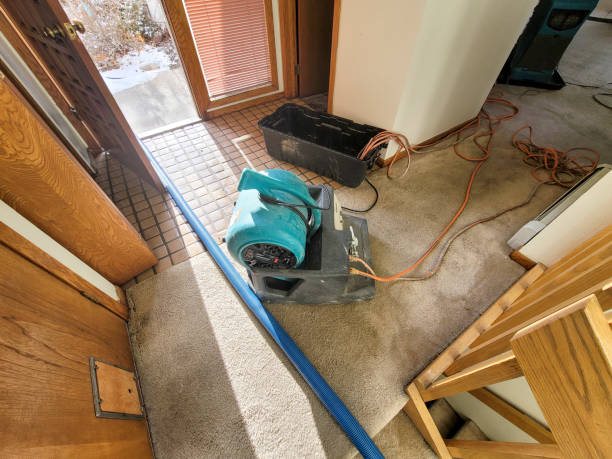 Reliable Arcadia, WI Water damage restoration Solutions