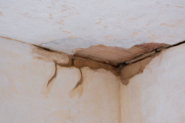 Best Ceiling water damage repair  in Arcadia, WI