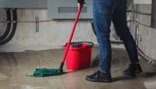 Best Water damage restoration near me  in Arcadia, WI