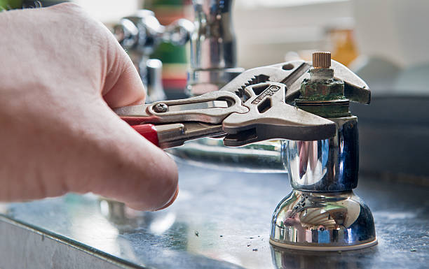 Best Water damage repair service  in Arcadia, WI