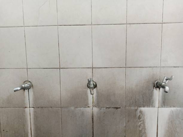 Best Commercial water damage restoration  in Arcadia, WI