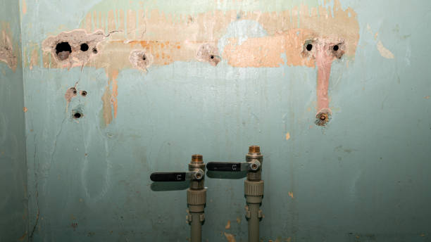 Best Water damage restoration near me  in Arcadia, WI