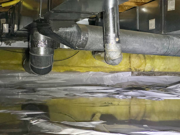 Best Professional water damage repair  in Arcadia, WI