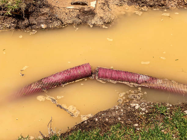 Best Commercial water damage restoration  in Arcadia, WI