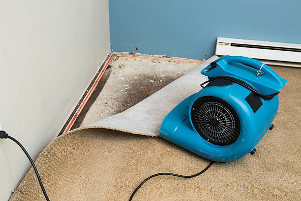 Best Water damage mitigation services  in Arcadia, WI