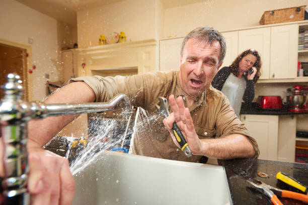 Best Flood restoration services  in Arcadia, WI